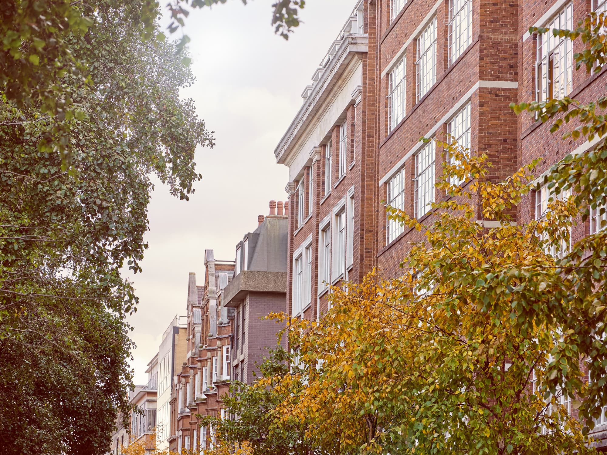 Fitzrovia