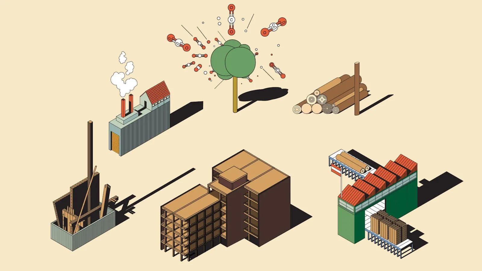 Five reasons why timber buildings are the future